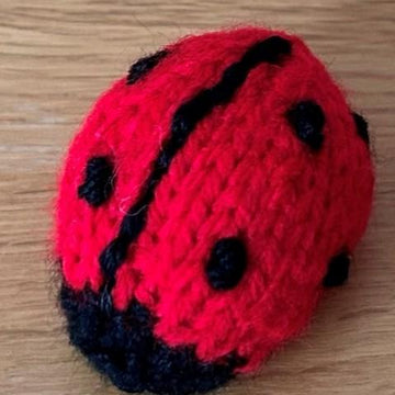 Ladybird/Ladybug Gnome
