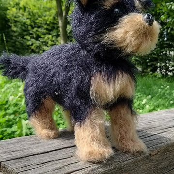 Dog Yorkshire Terrier