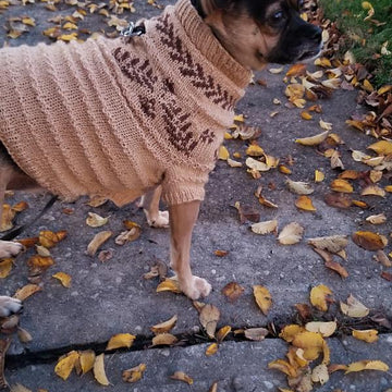 Dog Dream Sweater