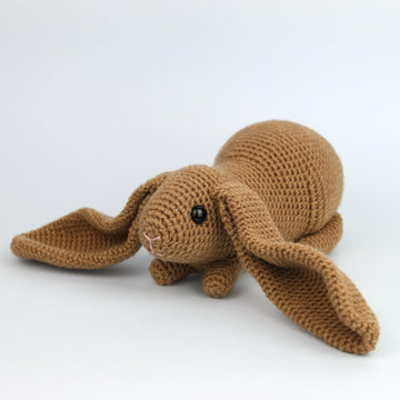 English lop rabbit