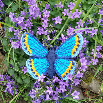 Karner Blue Butterfly