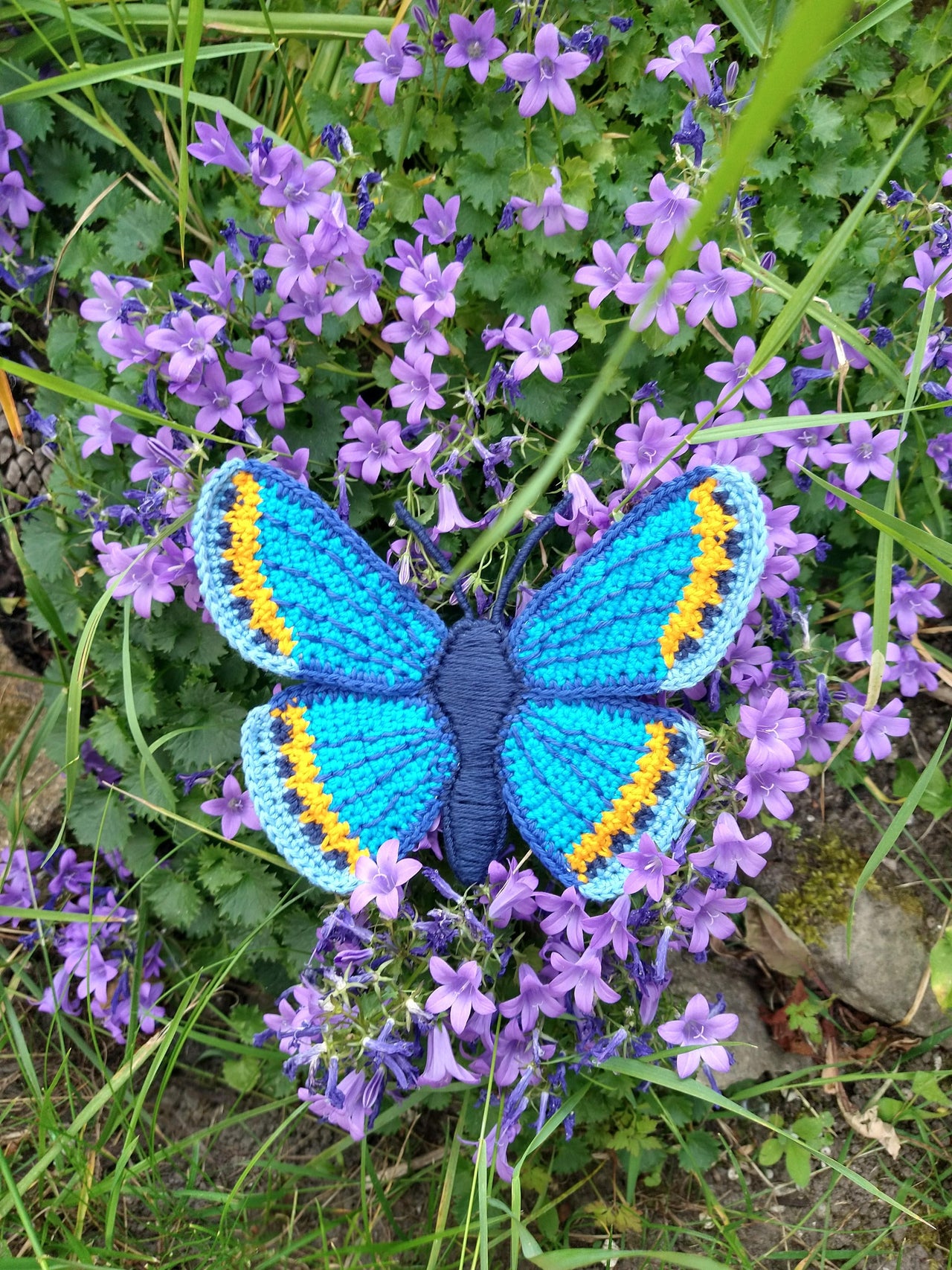 Karner Blue Butterfly