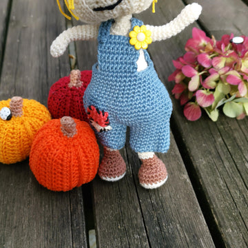 Scarecrow Sammy