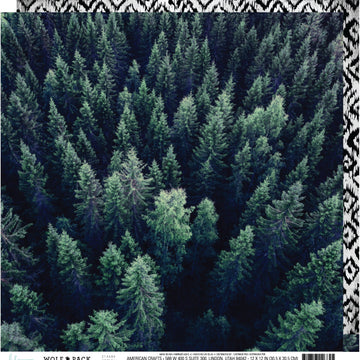 American Crafts Heidi Swapp Wolf Pack Double-Sided Cardstock 12"X12" 25/Pkg - Aerial