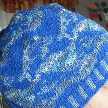 Dolphin beanie