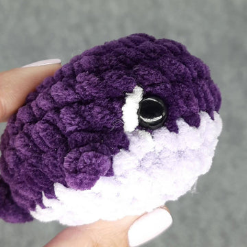 Whale worry pet