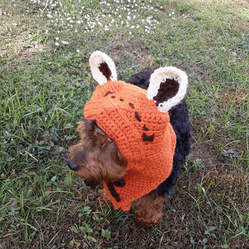 Dwok Ewok Inspired Dog Hat