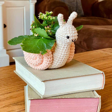Snail Plant Holder