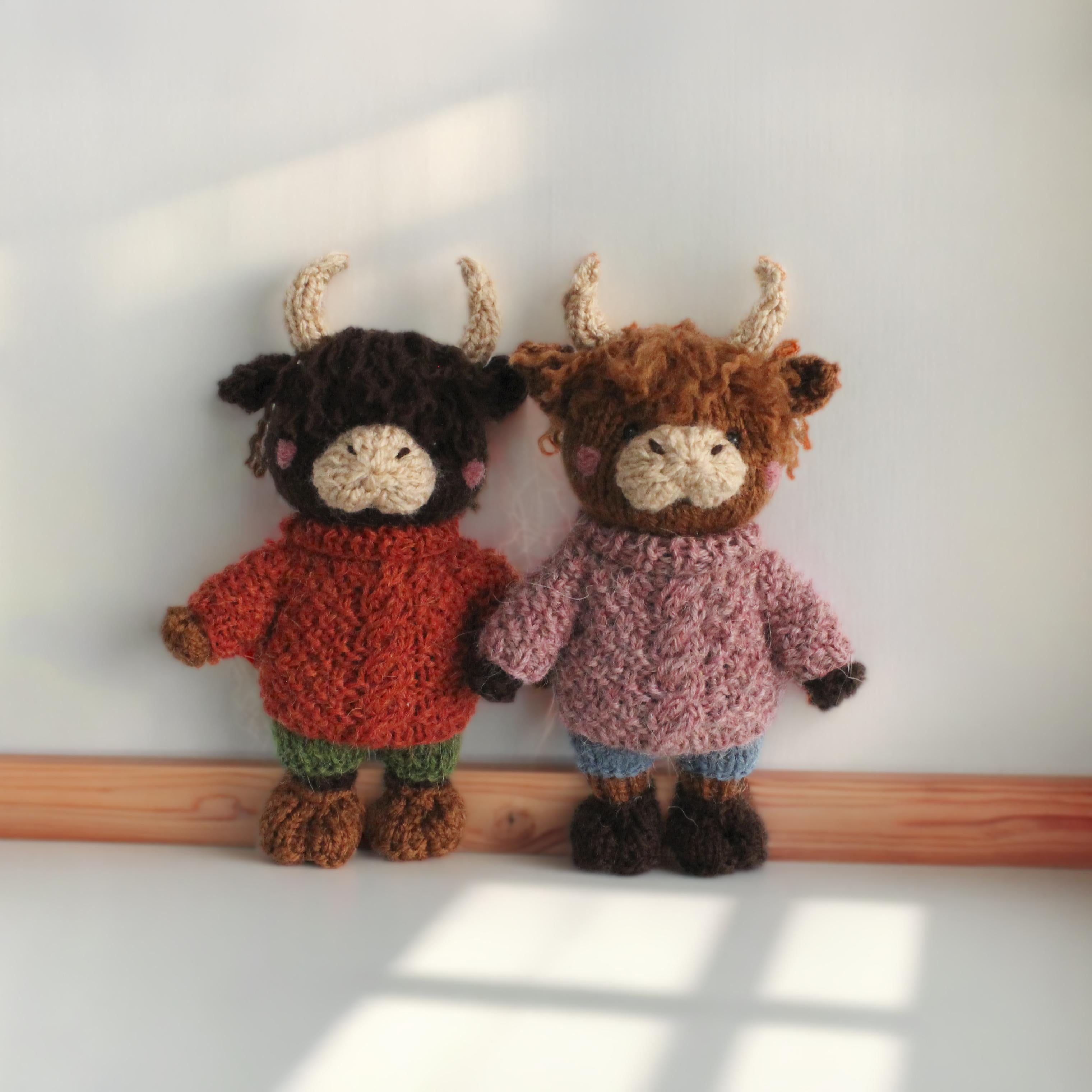 Woolly Highland Cow