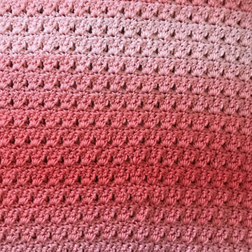 EASY BEGINNER'S Primrose Baby Blanket