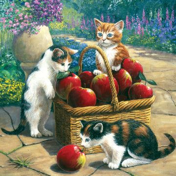 Royal Brush Junior Small Paint By Number Kit 8.75"X11.75" - Bumper Crop