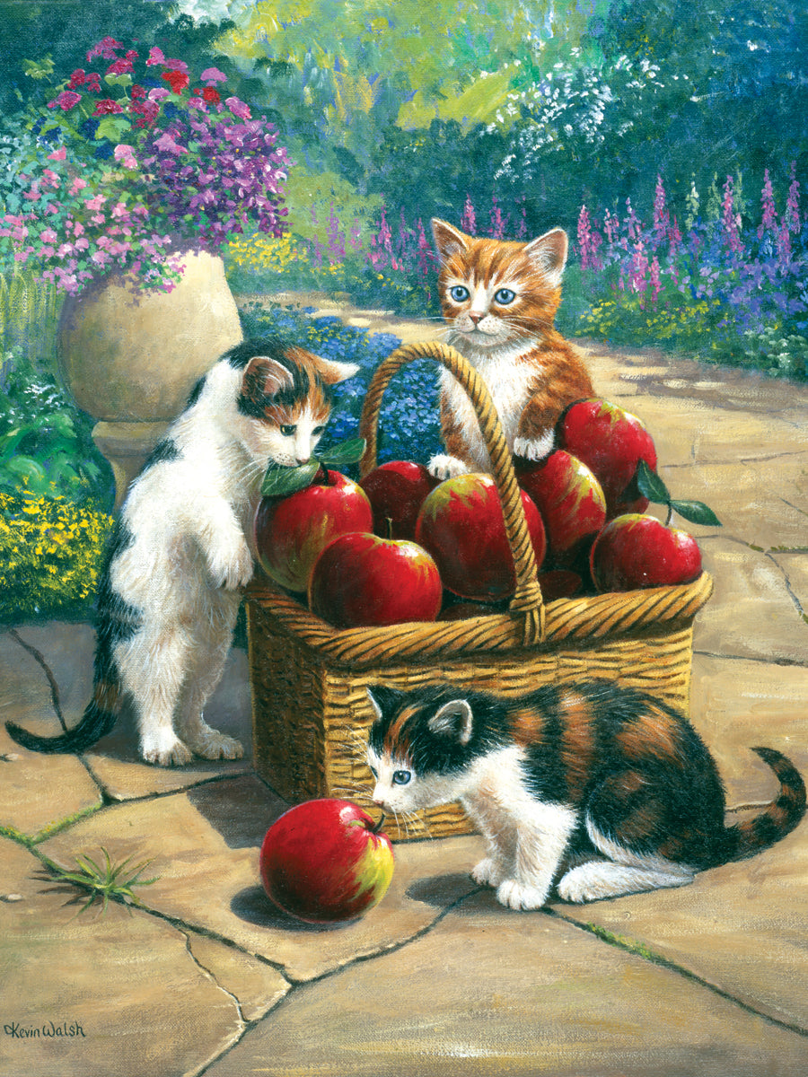 Royal Brush Junior Small Paint By Number Kit 8.75"X11.75" - Bumper Crop
