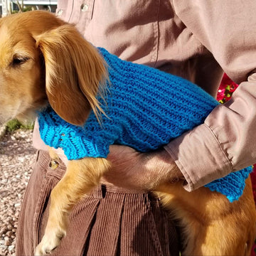 Twisted Rib Mini Doxie Sweater