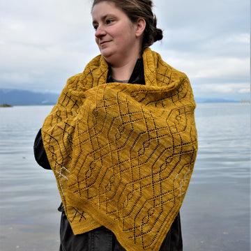 Stitches in Time Shawl