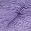 Wisteria (781)