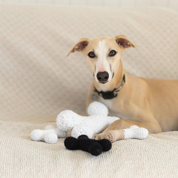 Doggo bone
