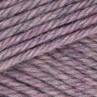 Iris (33123)