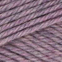 Iris (33123)