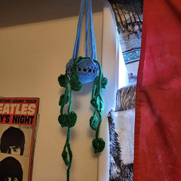 Hanging money plant