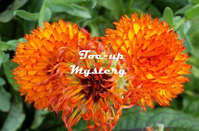 LuCookies Mystery Sock KAL