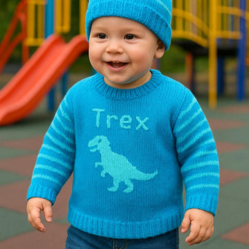 Baby T Rex Sweater