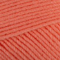 Apricot (01024)