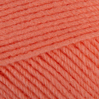 Apricot (01024)