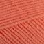 Apricot (01024)