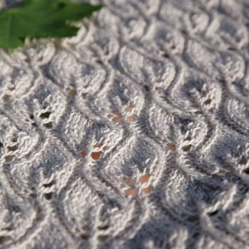 Leave-Me-Not shawl
