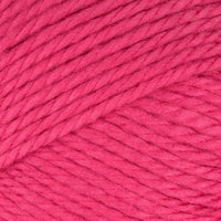 Raspberry (45)