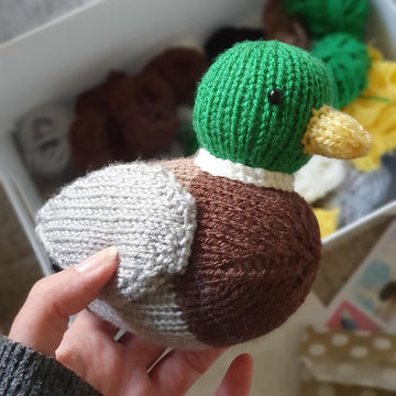 Beneduck Cumberquack the mallard duck