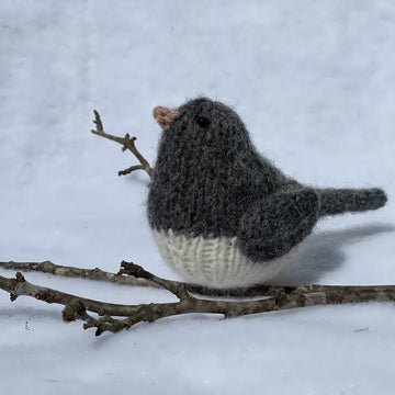 Snowbird