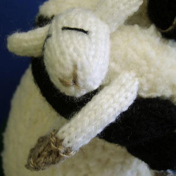 Spring Lamb Cuddles
