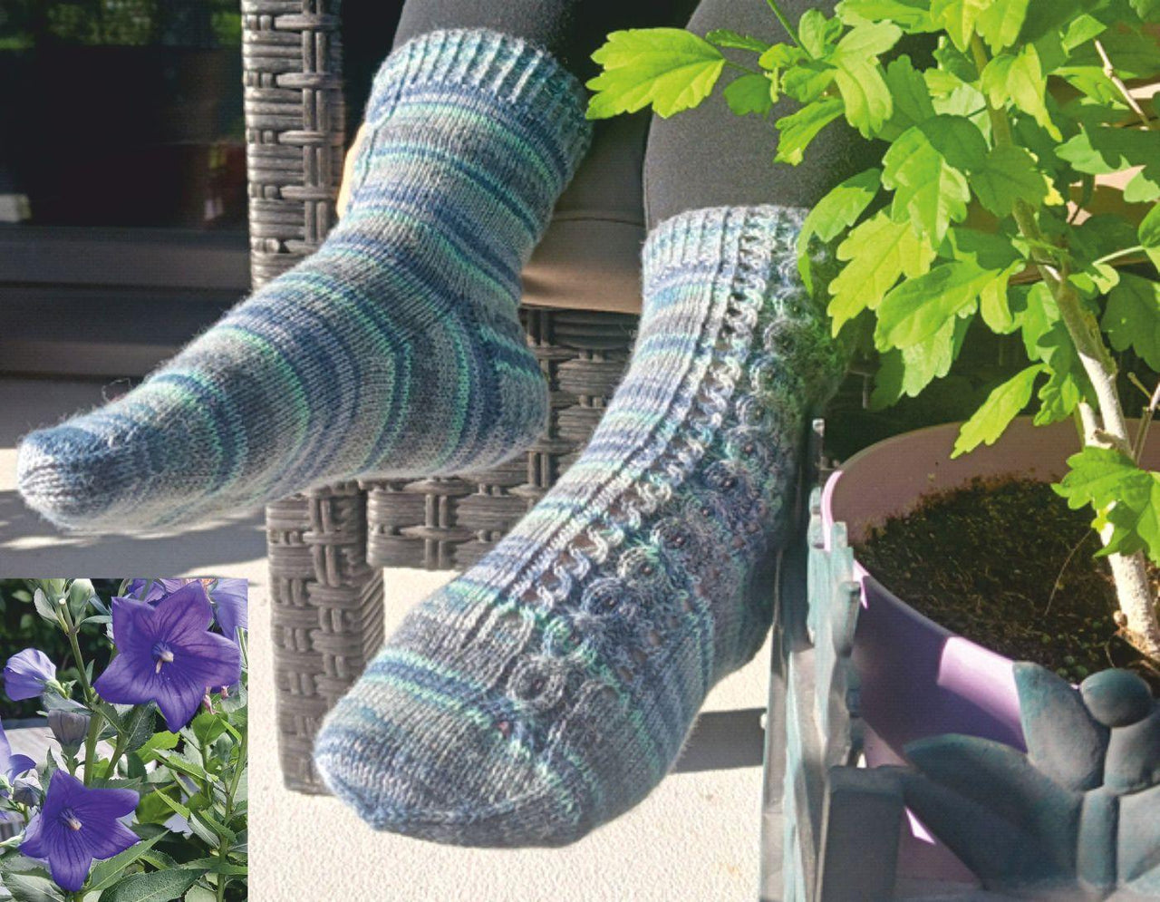 Asangteich Socks
