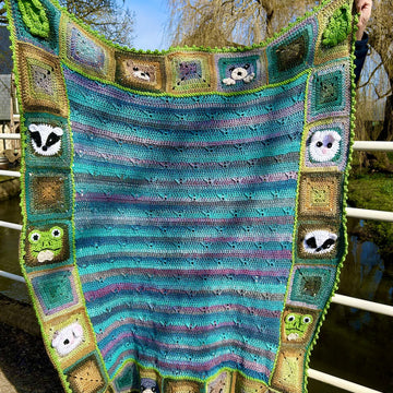 The Wind in the Willows blanket