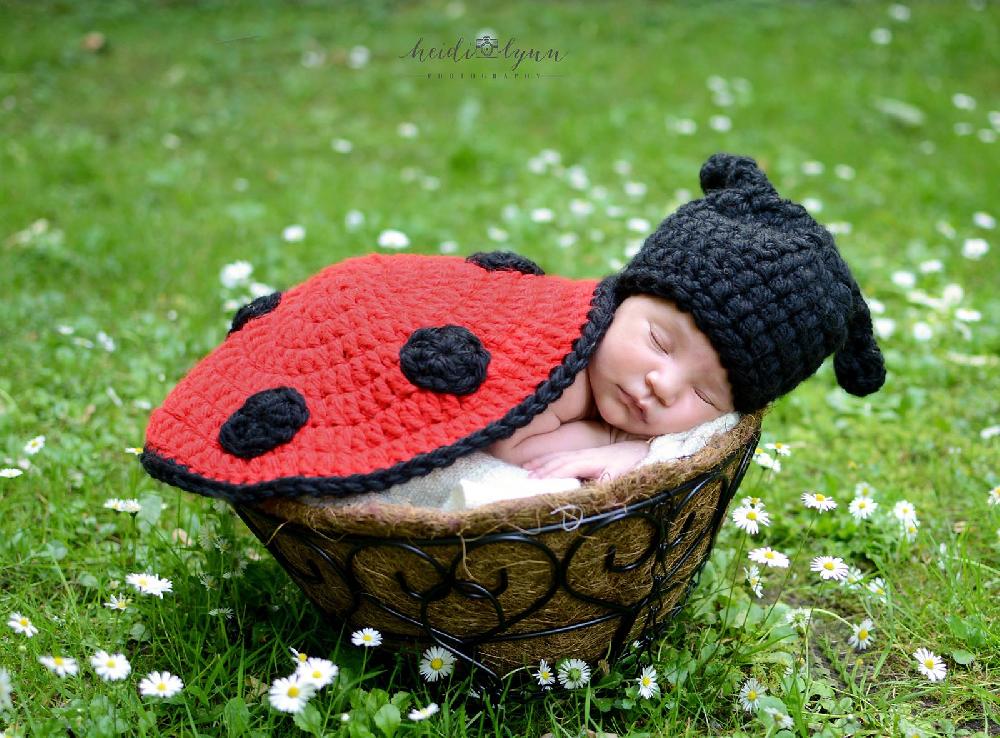 Ladybug Newborn Set Photo Prop Pattern