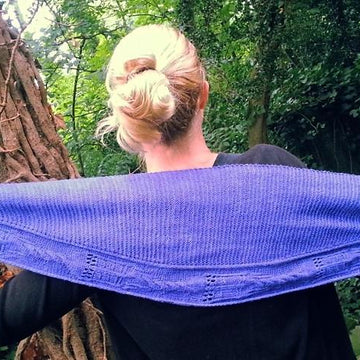 T.A.R.D.I.Shawl