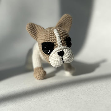 French Bulldog Puppy