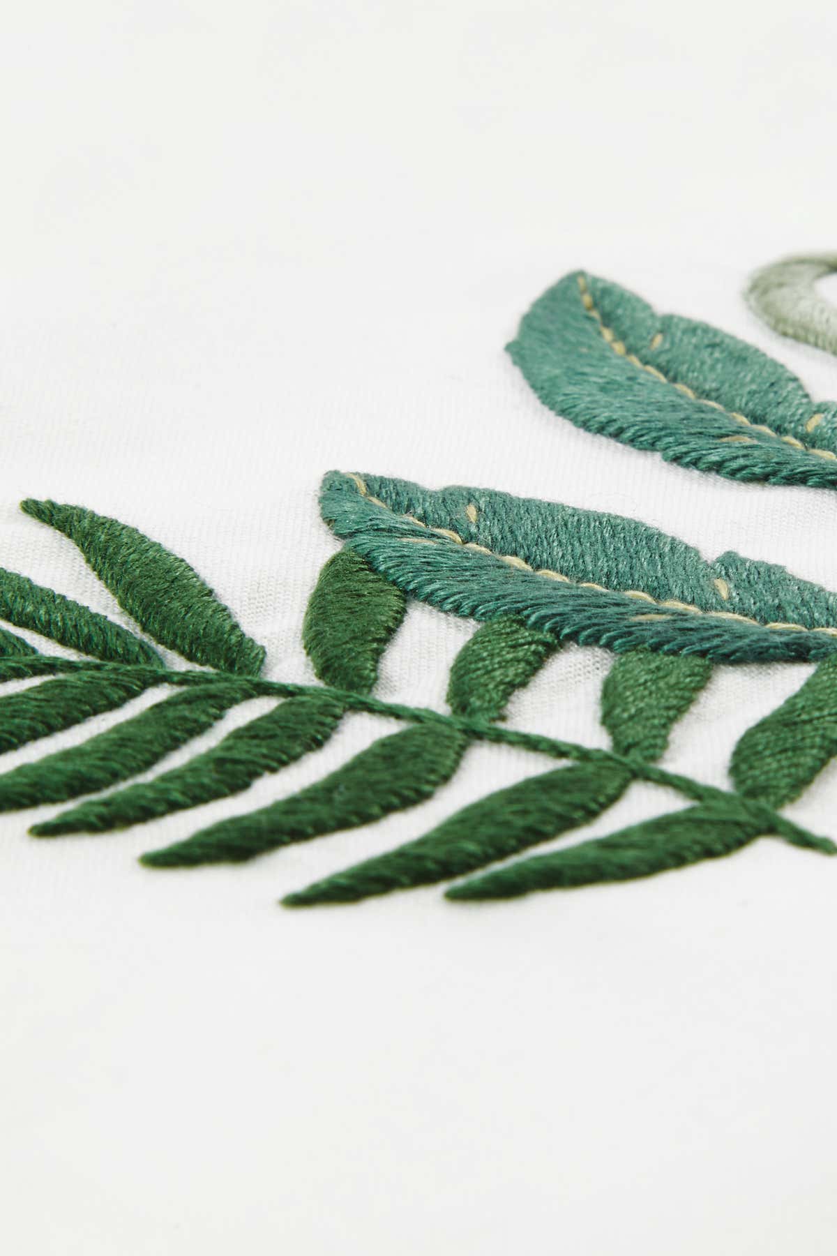 Fern + Tortuosa in DMC - PAT0002 - Downloadable PDF