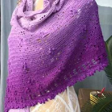 Dragonfly Hide n Seek Shawl