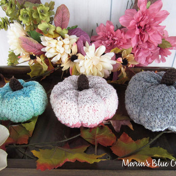 Lil Dollop Pumpkins