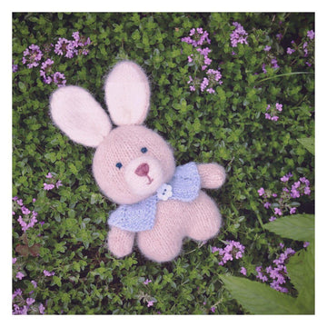 Sunny the Bunny