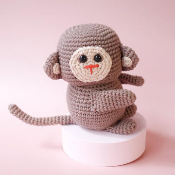 Mateo the Monkey