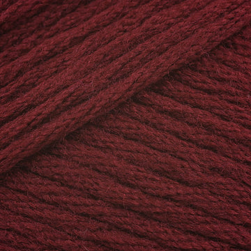 Beet Root (9760)