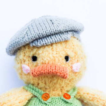 Darwin Duck