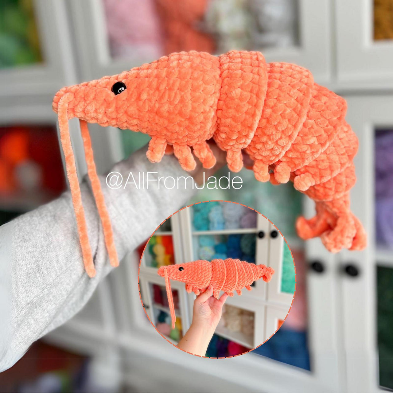 Caroline the Shrimp