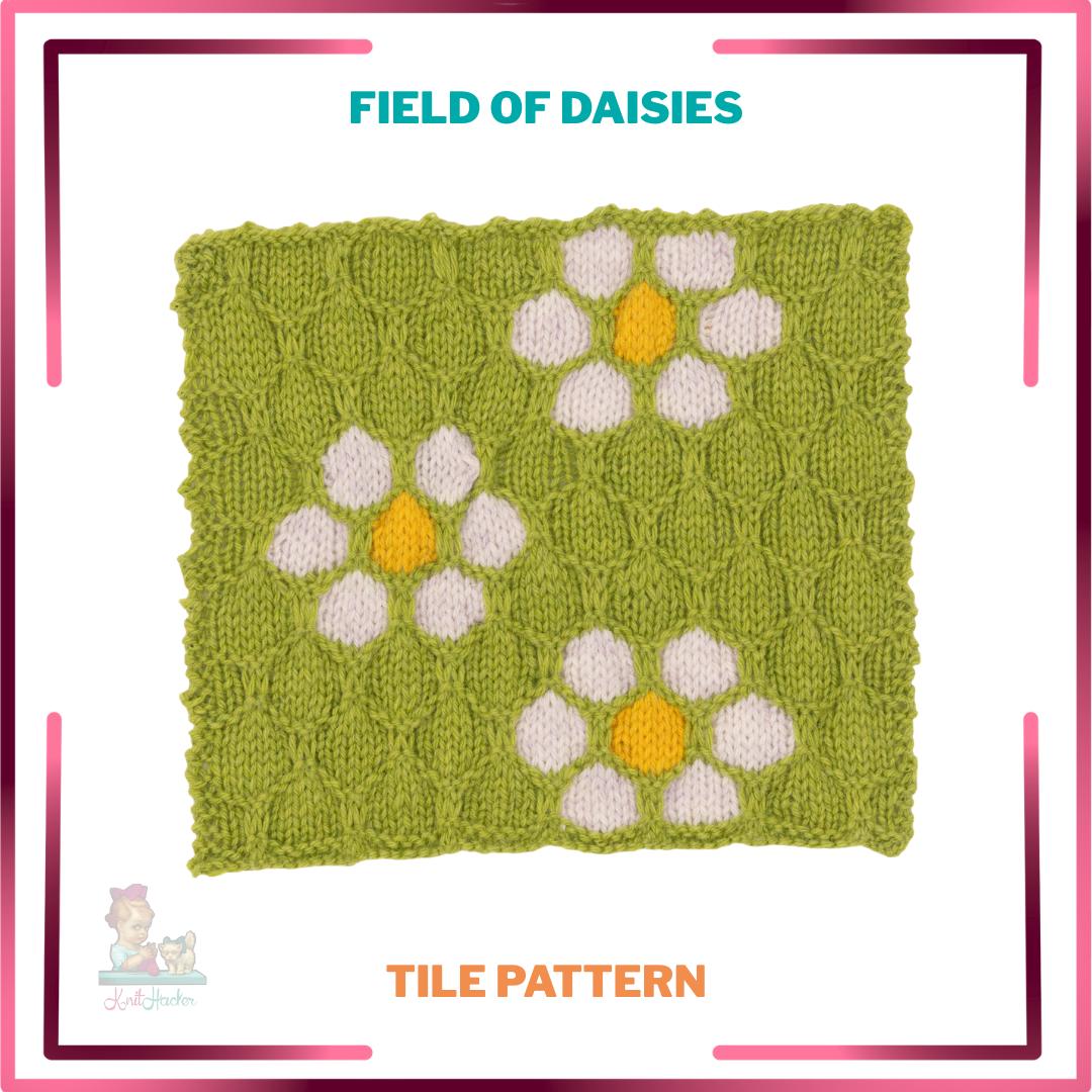 Field Of Daisies