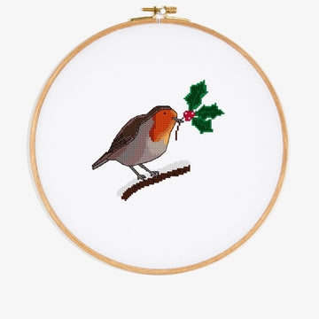 Robin in DMC - PAT0803 - Downloadable PDF