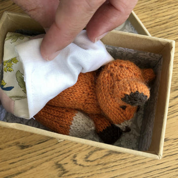 Fox in a Box
