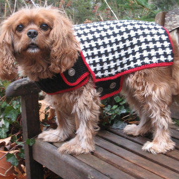 The Hound of the Baskervilles Dog Coat